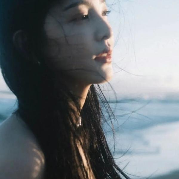 银之守墓人日语版